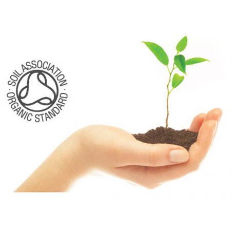 BENTLEY ORGANIC - Dziecięca Antybakteryjna Pianka do Mycia Rąk - PROMOCJA 11+1 BENTLEY ORGANIC - Dziecięca Antybakteryjna Pianka do Mycia Rąk - PROMOCJA 11+1