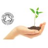 BENTLEY ORGANIC - Dziecięca Antybakteryjna Pianka do Mycia Rąk - PROMOCJA 11+1 BENTLEY ORGANIC - Dziecięca Antybakteryjna Pianka do Mycia Rąk - PROMOCJA 11+1