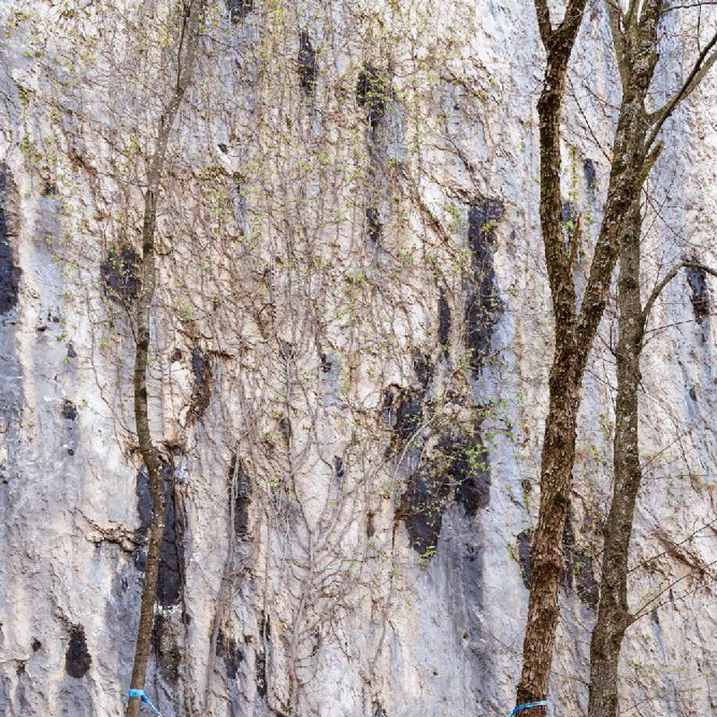 AMAZONAS - AZ-1030160 Silk Traveller techno - hamak