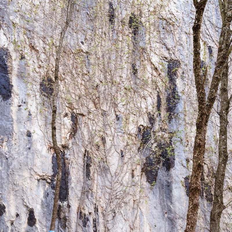 AMAZONAS - AZ-1030160 Silk Traveller techno - hamak