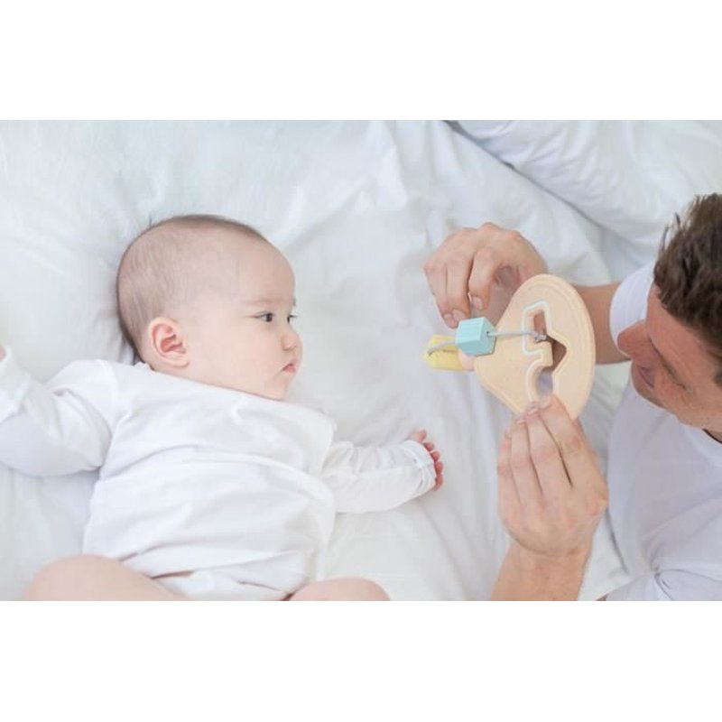 Plan Toys - Pastelowy  pierwszy sorter, PLTO-5259