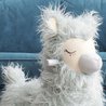 Little Bird Told Me Lama na Biegunach Rio Little Bird Told Me Lama na Biegunach Rio