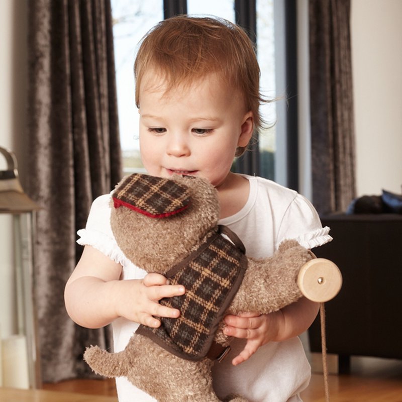 Little Bird Told Me Piesek Do Ciągnięcia