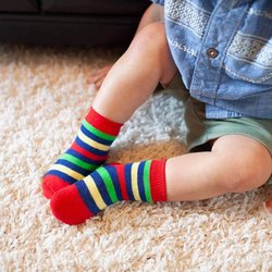 Zoocchini Skarpetki 3 pary Dinozaur 0-24 m