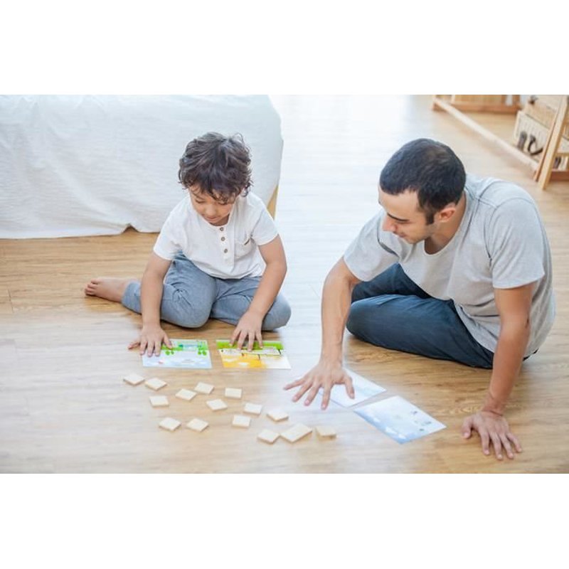 Układanka "Dopasuj pory roku", Plan Toys