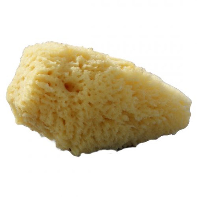 Beaming Baby, Gąbka Morska, organiczna, mała (7,5-8,5cm) BEAMING BABY