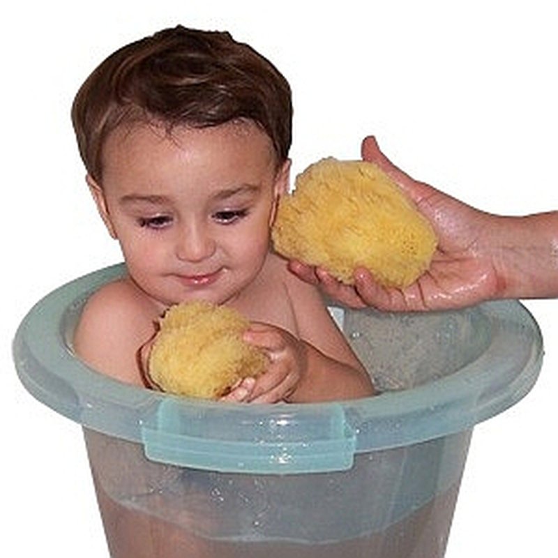 Beaming Baby, Gąbka Morska, organiczna, mała (7,5-8,5cm) BEAMING BABY