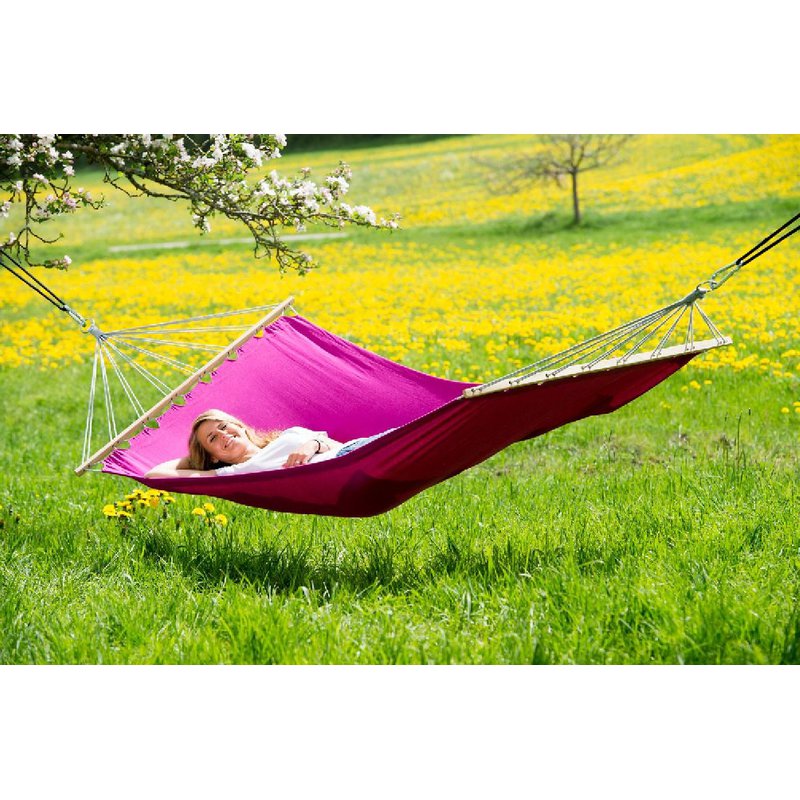 AMAZONAS - AZ-1075003 Miami berry - hamak