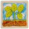 Goki® - Puzzle warstwowe - jak rośnie drzewo Goki® - Puzzle warstwowe - jak rośnie drzewo