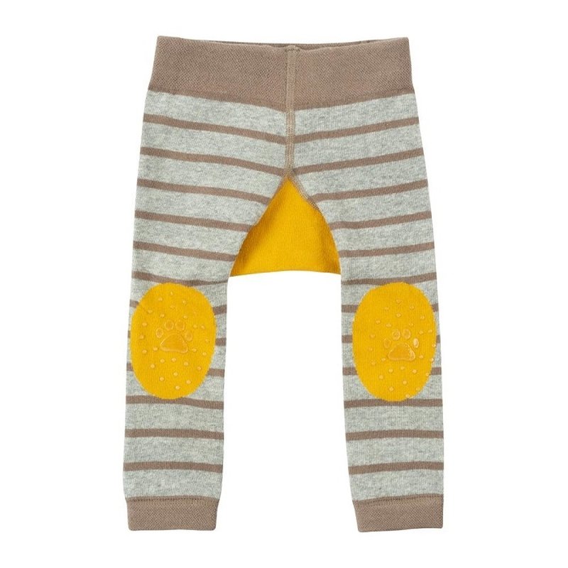 Zoocchini Legginsy i Skarpetki Lew 6-12M