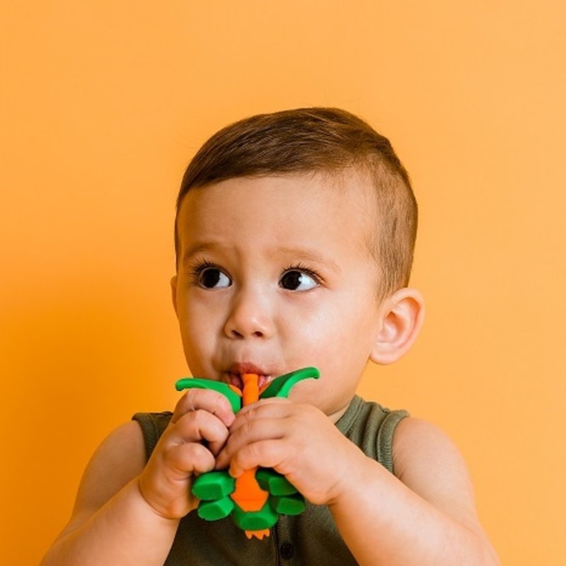 Baby Banana Szczoteczka Treningowa Smok