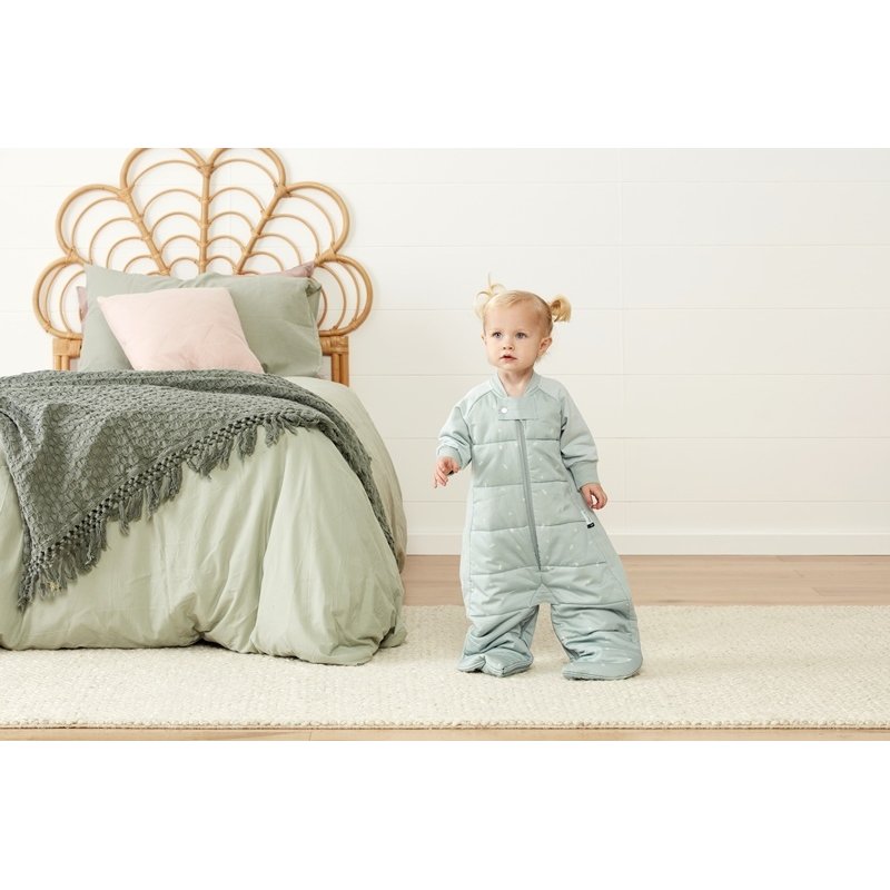 ergoPouch Śpiworek Kombinezon 8-24M 2.5TOG