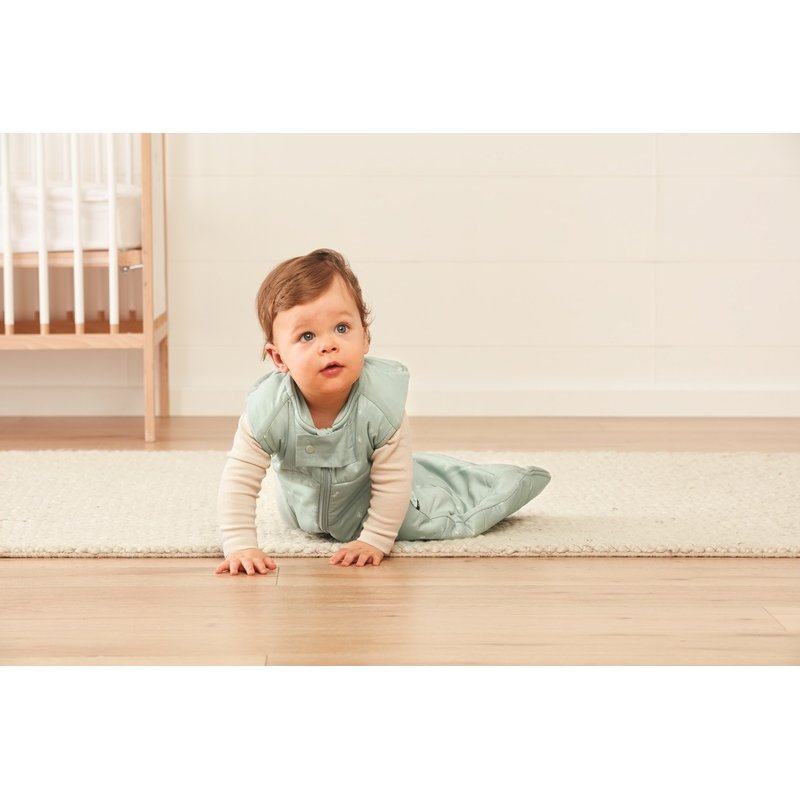 ergoPouch Śpiworek 2-4Y 2.5TOG