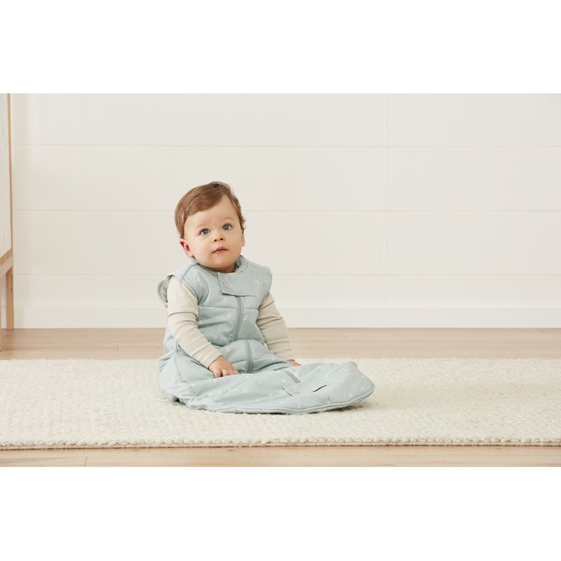 ergoPouch Śpiworek 2-4Y 2.5TOG