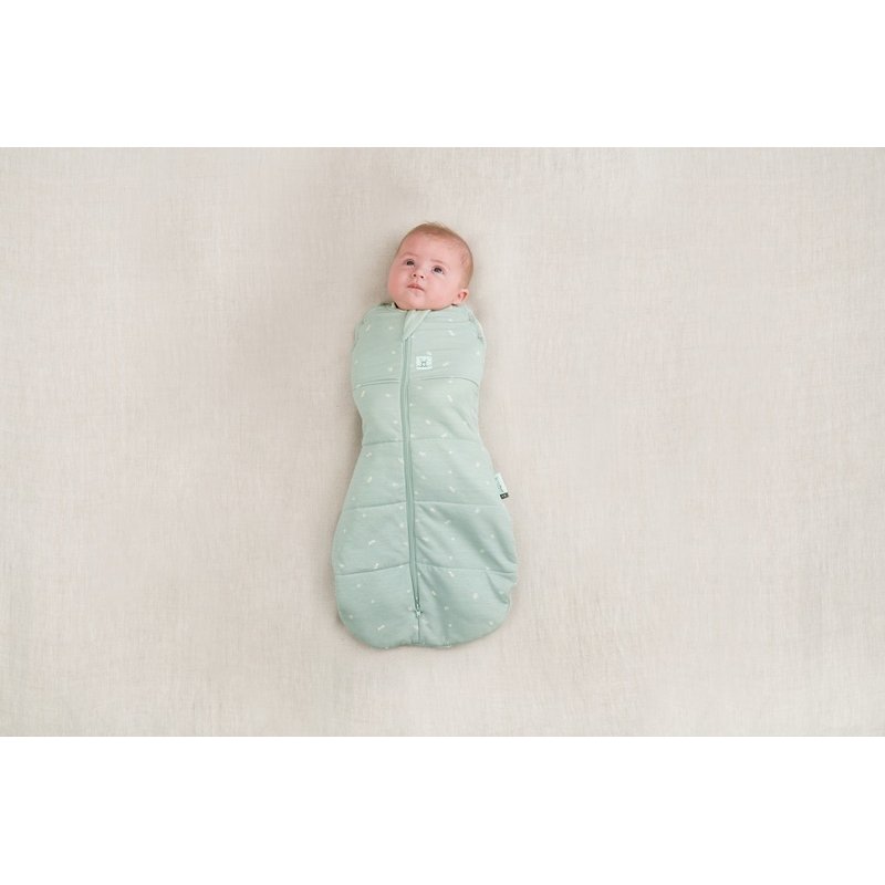 ergoPouch Otulacz Śpiworek 6-12M 2.5TOG
