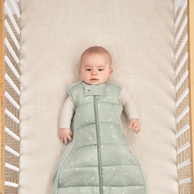 ergoPouch Śpiworek 8-24M 2.5TOG