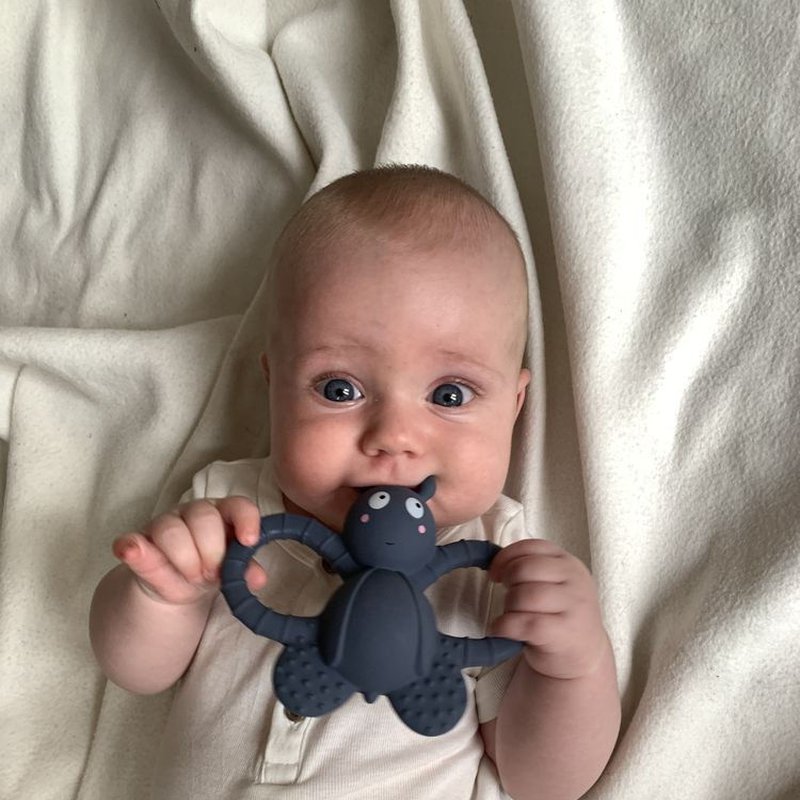 Filibabba Gryzak sensoryczny Mucha Felix FILIBABBA