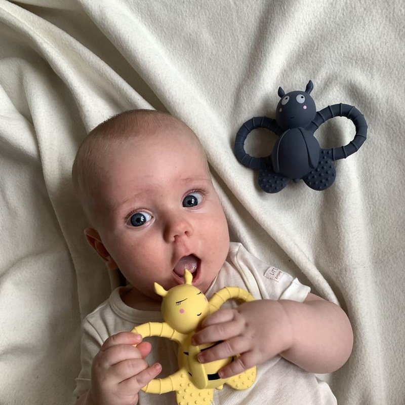 Filibabba Gryzak sensoryczny Mucha Felix FILIBABBA