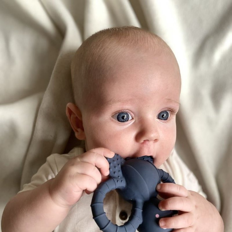 Filibabba Gryzak sensoryczny Mucha Felix FILIBABBA