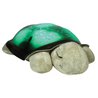Cloud b&#174;Twilight Turtle&#8482; - Classic Mocha - Żółw - Lampka Cloud B