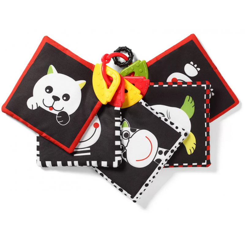 BABYONO - 781 Karty edukacyjne DREAM TEAM C-MORE COLLECTION