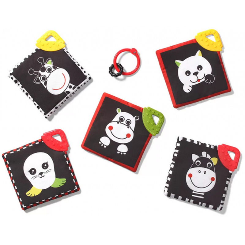 BABYONO - 781 Karty edukacyjne DREAM TEAM C-MORE COLLECTION