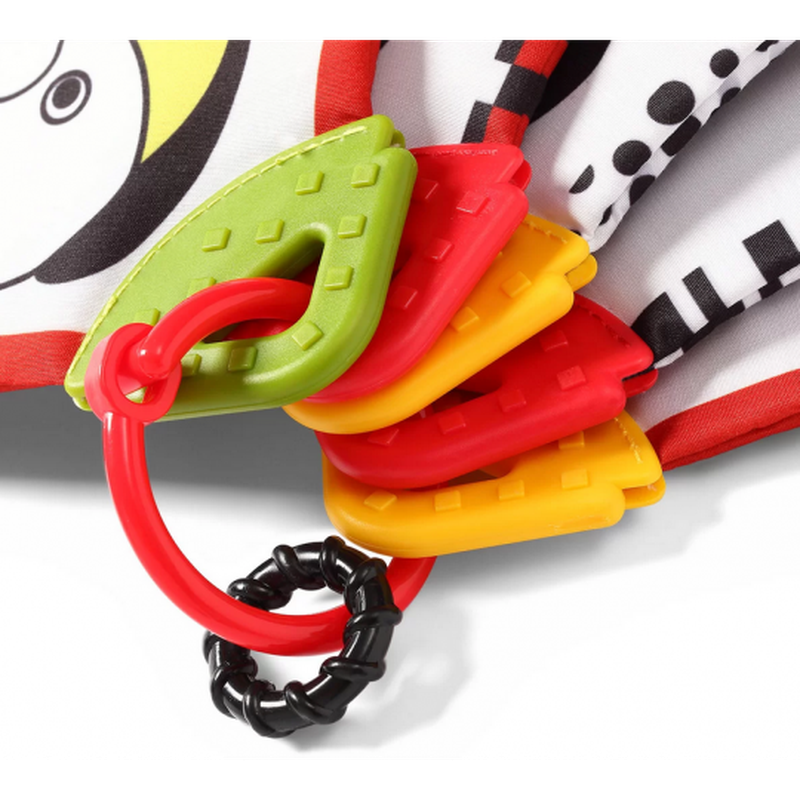 BABYONO - 781 Karty edukacyjne DREAM TEAM C-MORE COLLECTION