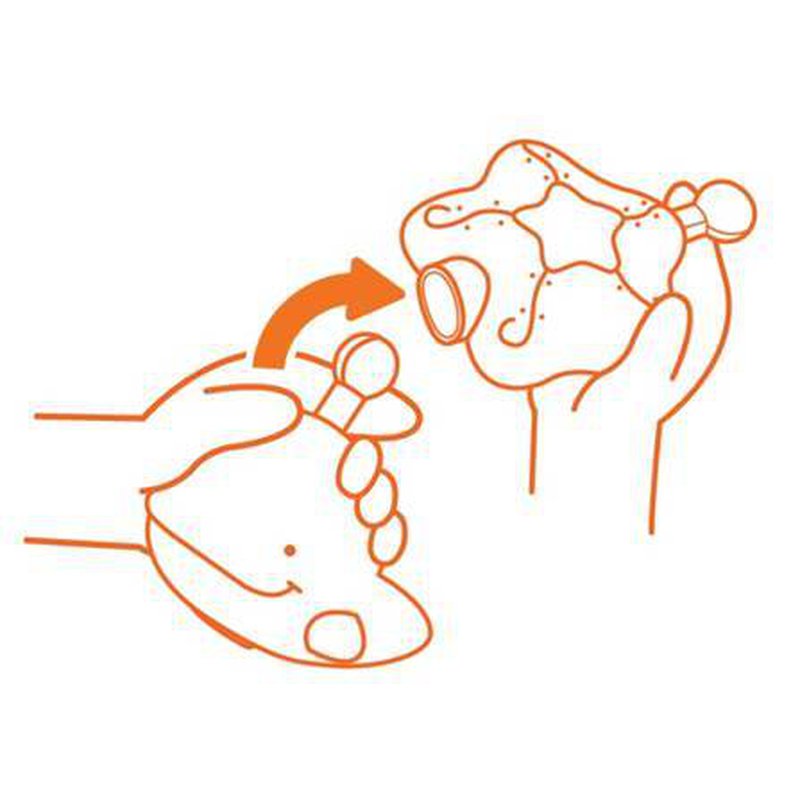 K's Kids Training2s - Morskie stworzenia - łańcuch