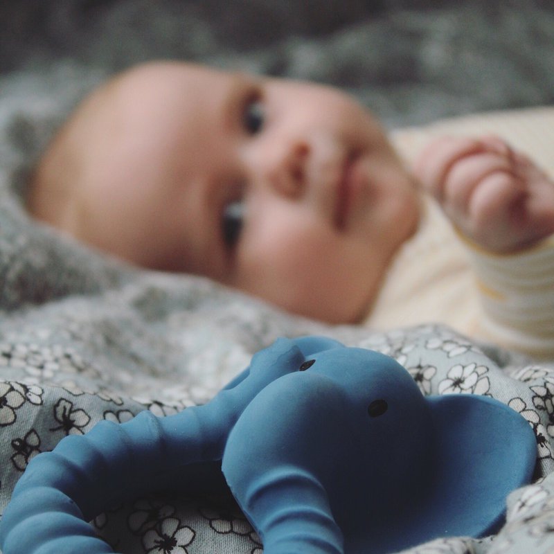 Natruba, Naturalny gryzak, Słoń NATRUBA