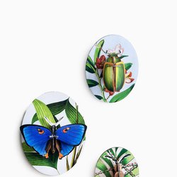 Kolekcja Owadów, część 2, kolekcja Deco, Studio ROOF