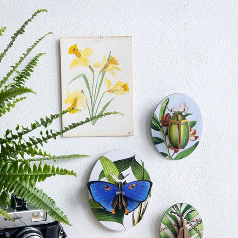 Kolekcja Owadów, część 2, kolekcja Deco, Studio ROOF