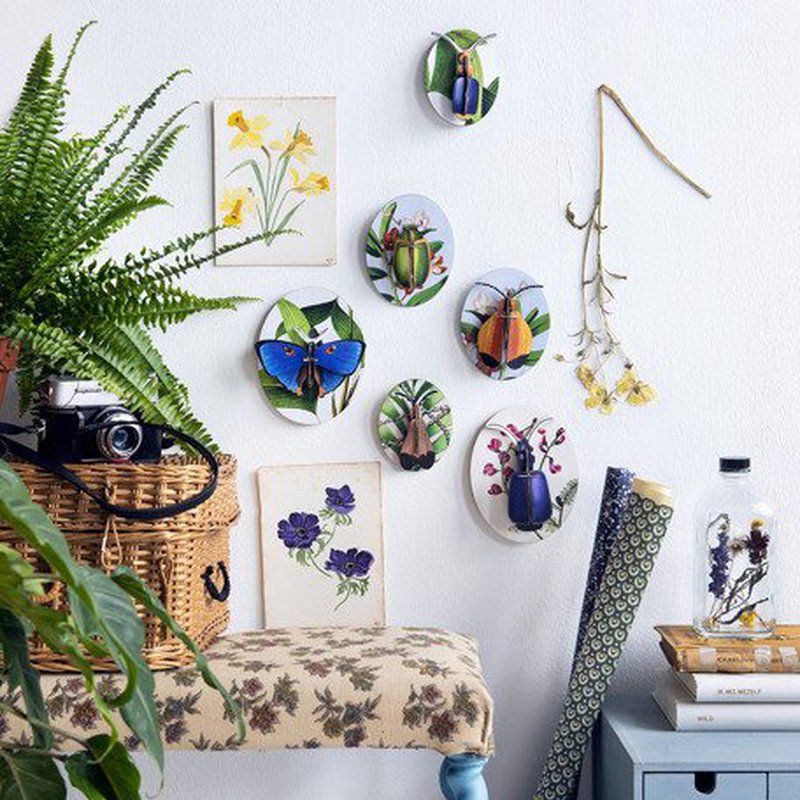 Kolekcja Owadów, część 2, kolekcja Deco, Studio ROOF