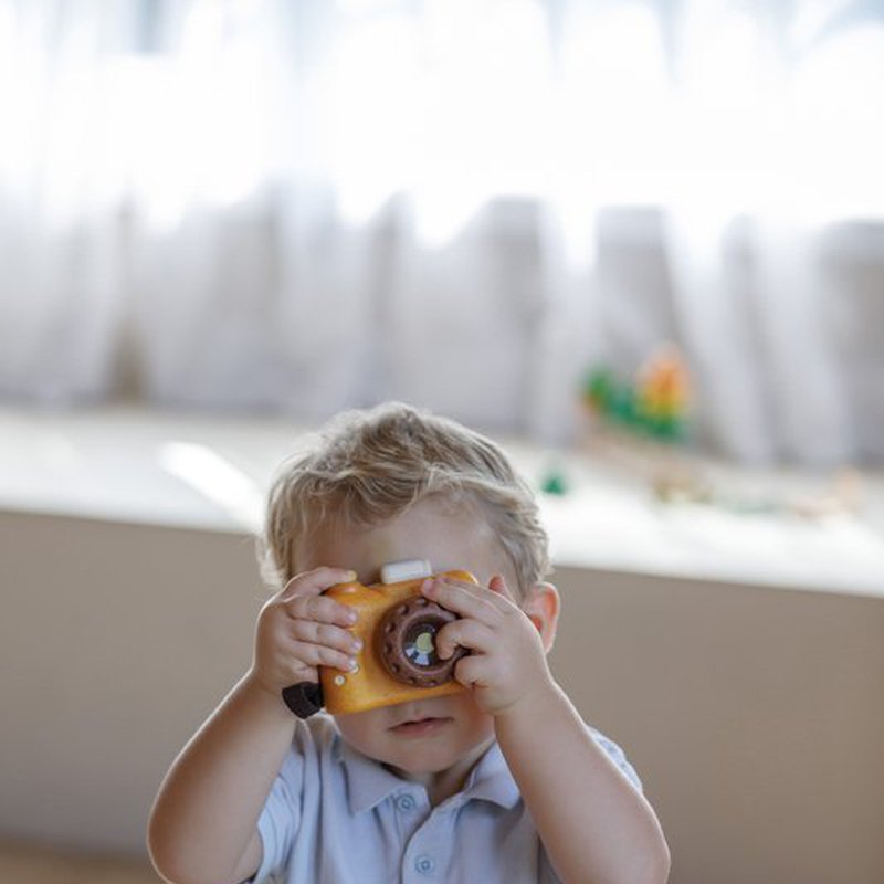Plan Toys - Aparat fotograficzny - barwy sadu