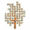 Gra dla dzieci typu domino, Dream a Tree | Londji® Gra dla dzieci typu domino, Dream a Tree | Londji®