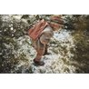 Elodie Details - Czapka - Nordic Woodland 6-12 m-cy Elodie Details - Czapka - Nordic Woodland 6-12 m-cy