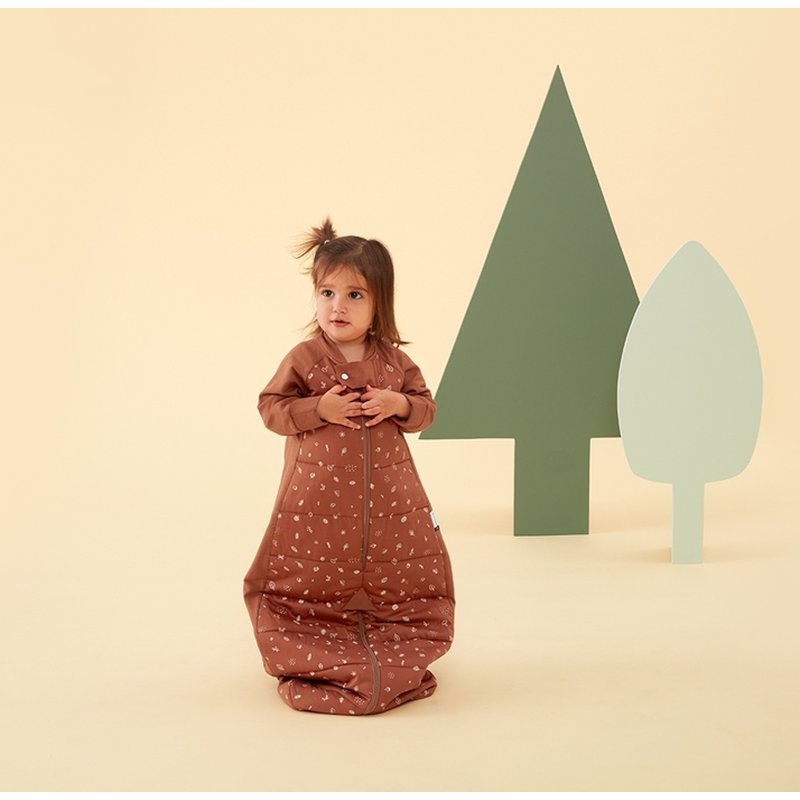 ergoPouch Śpiworek Kombinezon 8-24M 2.5TOG Acorn