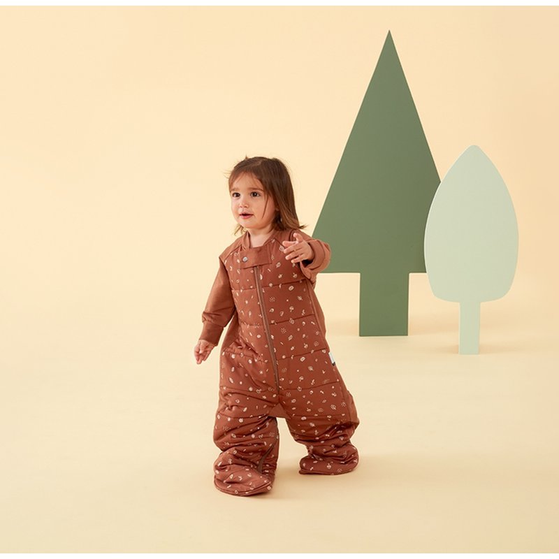 ergoPouch Śpiworek Kombinezon 8-24M 2.5TOG Acorn