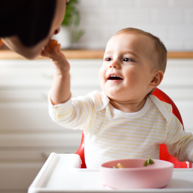 Bickiepegs - Miseczka-Talerzyk Doidy Bowl z przyssawką - szary