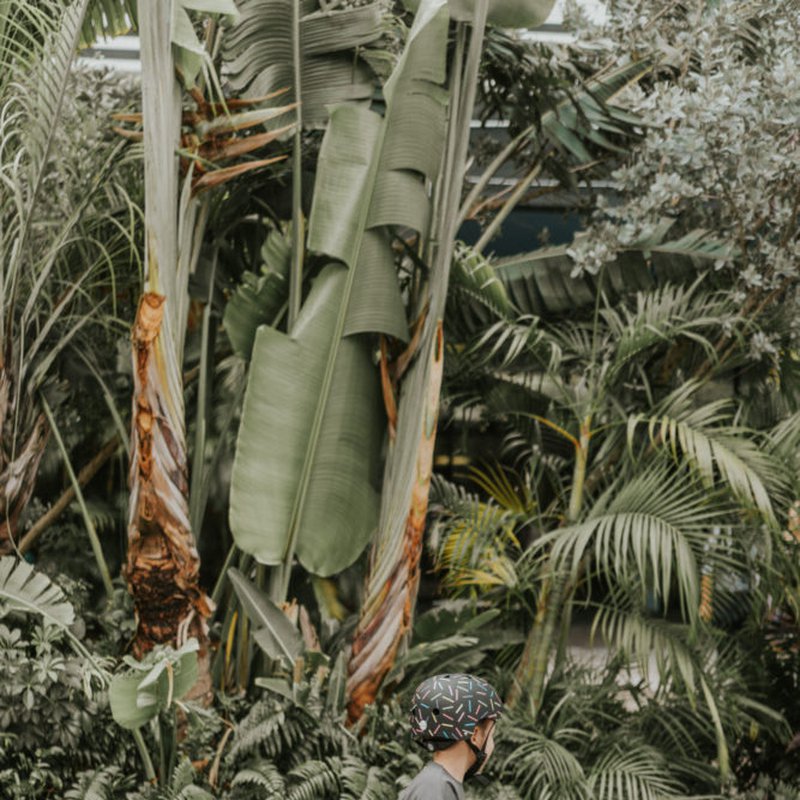 Banwood dziecięcy kask rowerowy Marest Allegra black BANWOOD