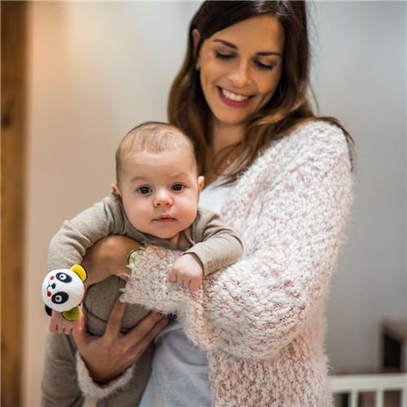 BABYONO - 635 Grzechotka na rączkę PANDA ARCHIE C-MORE COLLECTION