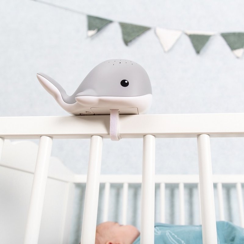 Zazu Kids - Zazu WALLY Projektor Wieloryb Pink