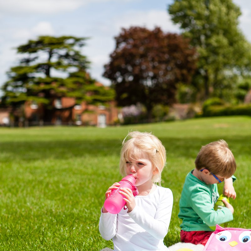 Bidon LittleLife Dinozaur