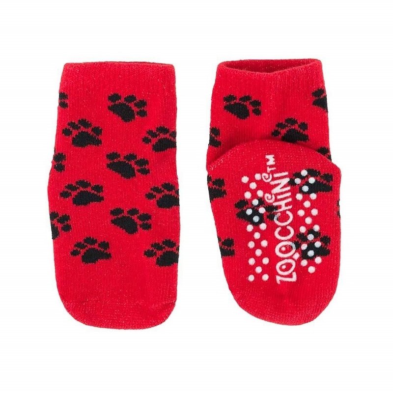 Zoocchini Legginsy i Skarpetki Miś 12-18M