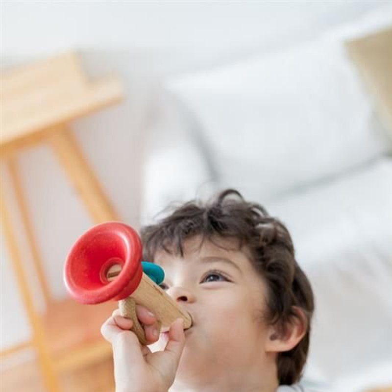 Drewniany instrument Kazoo, Plan Toys