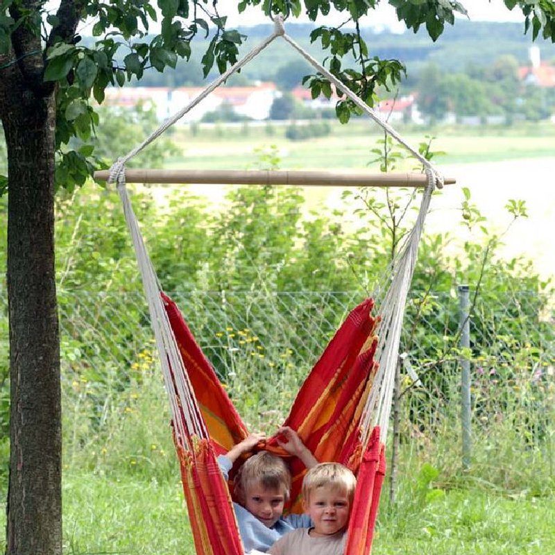 AMAZONAS - AZ-2030220 Brasil papaya - huśtawka
