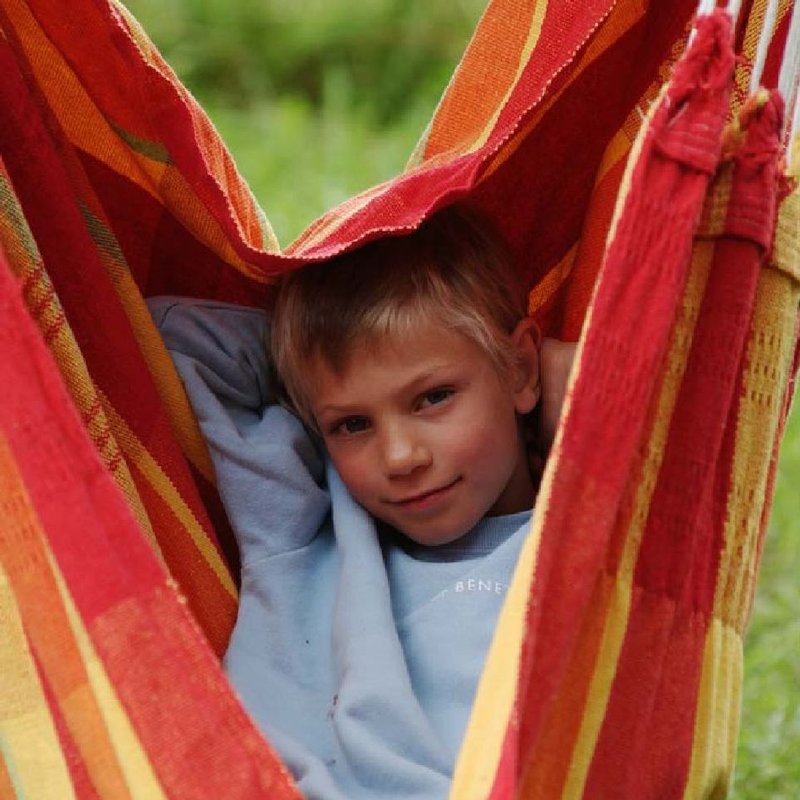 AMAZONAS - AZ-2030220 Brasil papaya - huśtawka