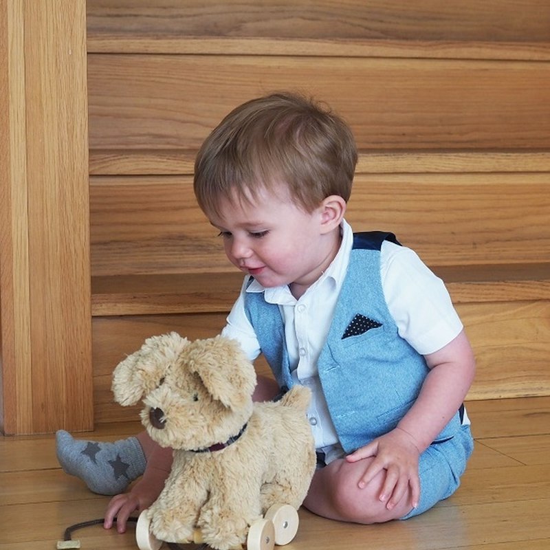 Little Bird Told Me Piesek Do Ciągniecia D