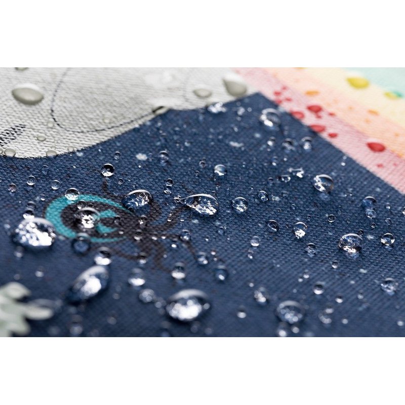 Tornister Mini, Statek kosmiczny, Jeune Premier