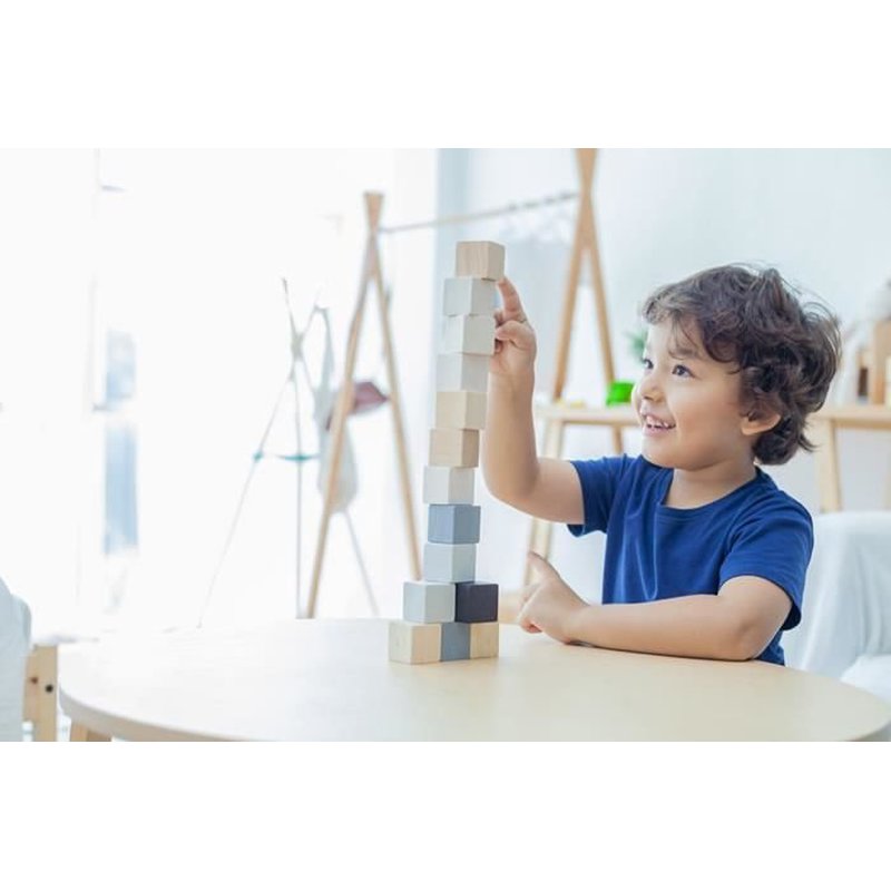 Drewniane klocki, 15el., Plan Toys
