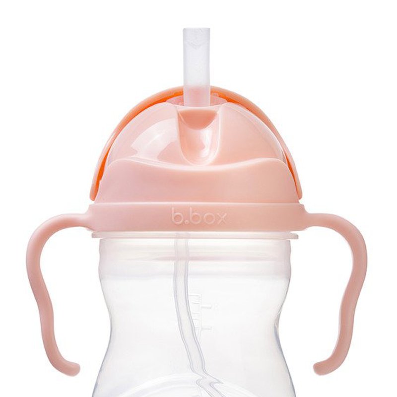 Bidon ze słomką 240 ml, Gelato Tutti Frutti, b.box